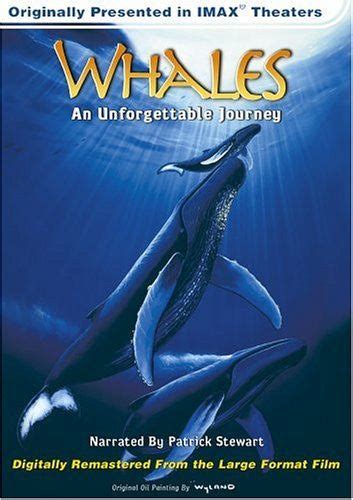 ‘whales An Unforgettable Journey Imax Dvd Ocean Alliance