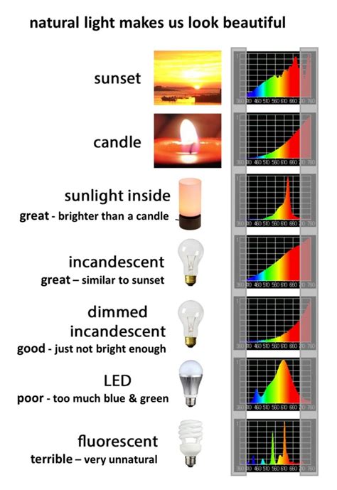 natural light is beauty light - Sunlight Inside