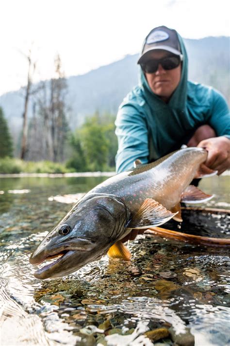 Leviathans The Bull Trout Of Bc’s East Kootenays • Bc Outdoors Magazine