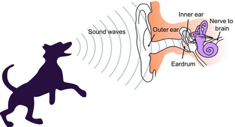 Can You Hear Sounds In Outer Space Science Project