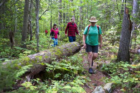 Here's what all malaysians hope for when it comes to public holidays: Ontario provincial parks to open for free day use by ...