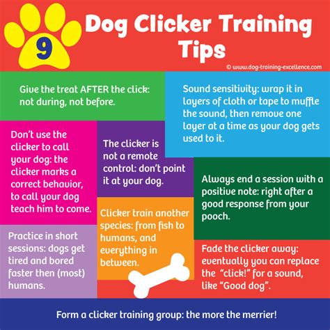 Dog Training Tips