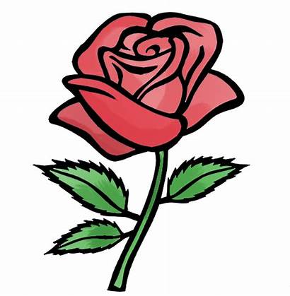 Rose Cartoon Clipart Thorns Drawing Clip Flower