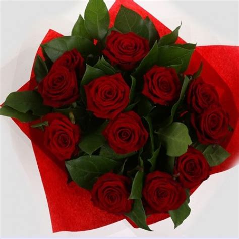 1 Dozen Red Roses 12 Stem Bouquet