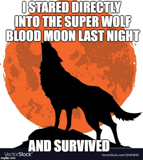 Super Blood Wolf Moon Imgflip