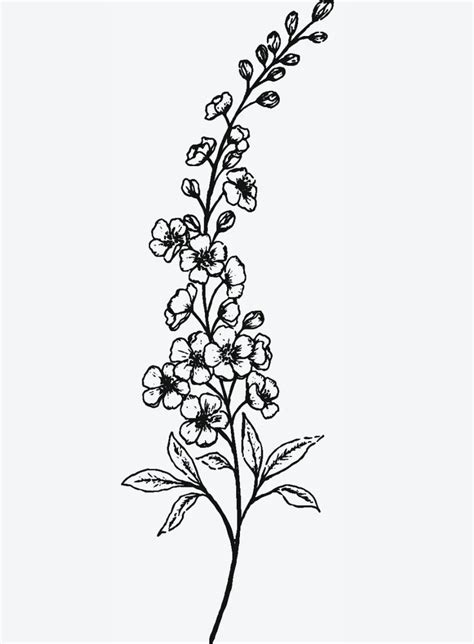 Delphinium Tattoo Delphinium Tattoo Floral Tattoo Sleeve Larkspur