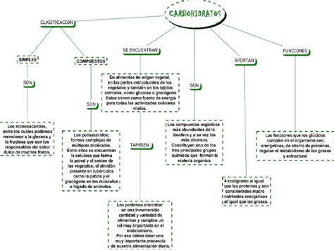 48 Mapa Conceptual De Los Carbohidratos Image Campor