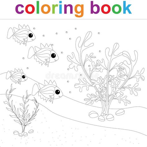 Coloring Page Template With Four Cartoon Fish And Algae For Children