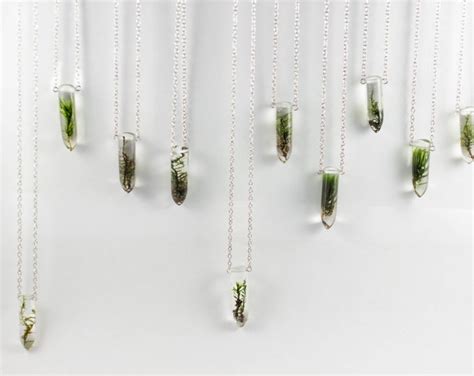 Moss Specimen Necklace Botanical Jewelry Terrarium Etsy