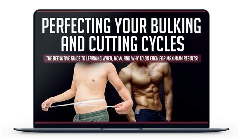 Perfecting Your Bulking And Cutting Cycles