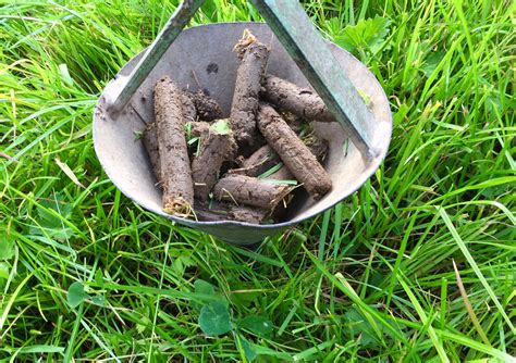 Soil Sampling Why Every Farmer Should Do It And How To Take Accurate