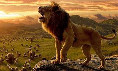 Lion King Wallpapers Songs Disney