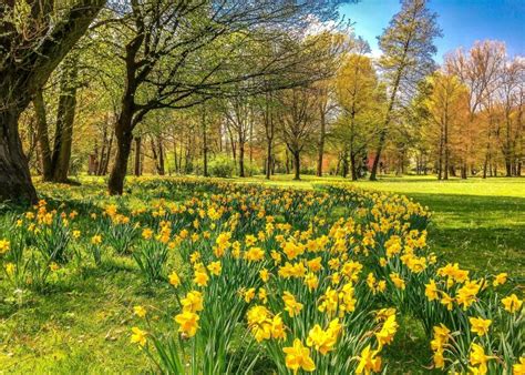 Hope after a long winter in the heart. First Day of Spring 2021: Celebrate the Spring Equinox ...