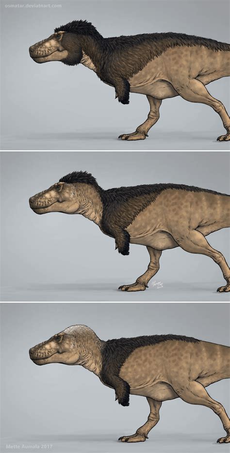Comment Pictures Of T Rex With Feathers Please Dinosaurs