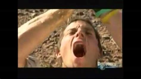 Bear grylls drinks urine to show how to survive the desert | bear grylls: Bear Grylls drinks camel poo juice - YouTube