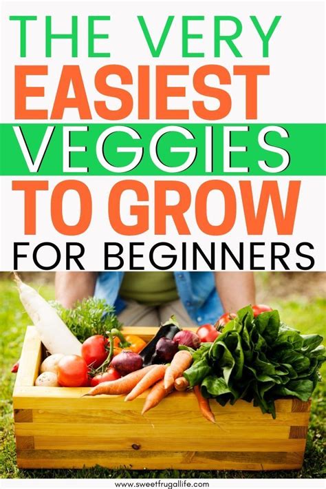 9 Vegetables To Grow In Your Beginner Garden Sweet Frugal Life Easy