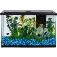 Aquariums on Pinterest Fish Tanks, Aquarium and Aquascaping