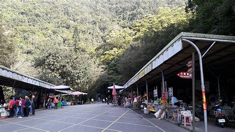 发 给 你 兄 弟. (232坪林區)三角崙山 聖母峰 抹茶山 @ ♬幸福的滋味~⭐錦毛鼠の小資旅遊♪ :: 痞客邦