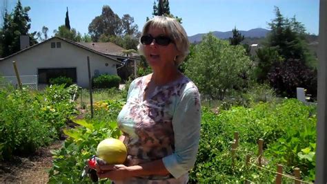 Volunteer your time and talents. Poway California's Volunteer-Run Food Bank Garden - YouTube