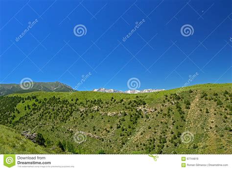 Green Meadow With Snowy Mountains On Background Stock Image Image Of