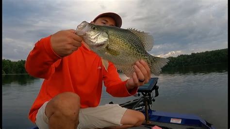 Finding Giant Summer Crappie Youtube