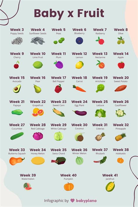 Baby Size Chart By Week Fruits And Vegetables Comparison Baby Fruit