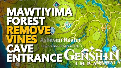 Mawtiyima Forest Remove Vines Cave Entrance Genshin Impact Youtube
