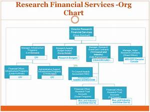 Organization Chart Financial Services