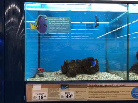 You can see reviews of companies by clicking on them. Fish Pet Shop Near Me - Pet's Gallery