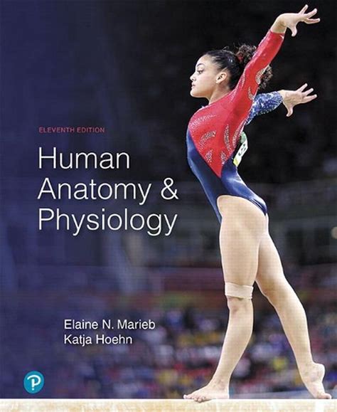 Human Anatomy And Physiology By Elaine N Marieb Hardcover