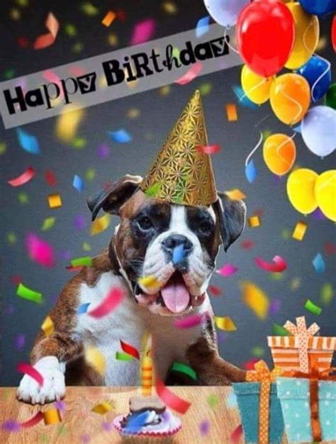 Pin By Gillian Krummeck On Happy Birthday Happy Birthday Dog Dog