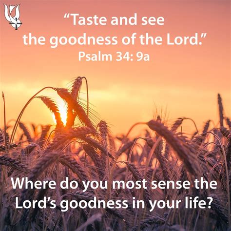 Scripture Reflection “taste And See The Goodness Of The Lord” Psalm