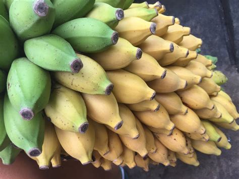 Banana Variety Box Miami Fruit
