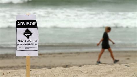 Florida Beaches Closed After Shark Attacks Leave 2 Injured Report