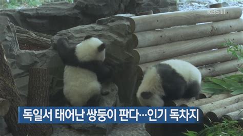 브라이언트는 지난 27일(한국시간) 헬기 추락사로 갑작스럽게 세상을 떠났다. 지금 세계는 코비 시신 수습…"급히 방향 튼 뒤 빠르게 추락 ...