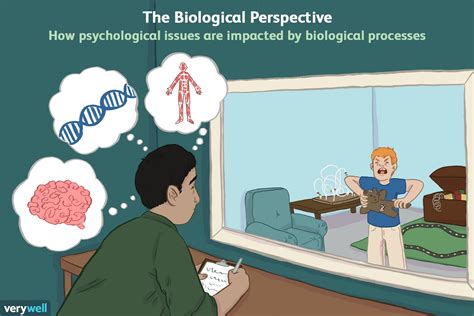 The Role Of The Biological Perspective In Psychology