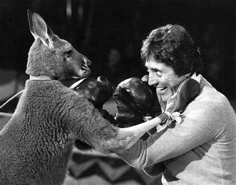 Kangaroo Boxing 20 Bizarre And Disturbing Vintage Photos