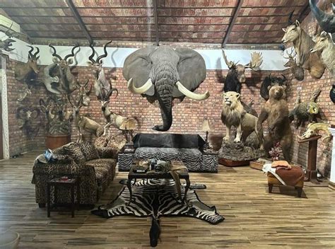 An Animal Themed Living Room Is Shown In This Image