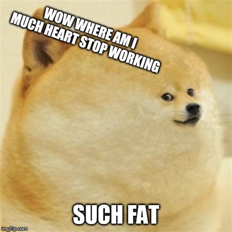 Fat Doge Wow Imgflip