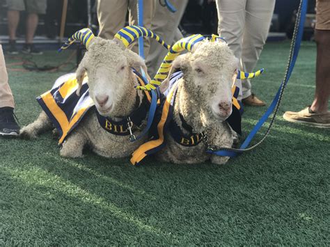 To Prevent Goat Napping Navy Ups Security Around Mascots To Protect