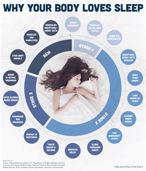 What Your Body Does When You Are Not Awake Infographic Best