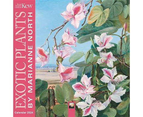 Kew Gardens Exotic Plants By Marianne North Mini Wall Calendar 2024
