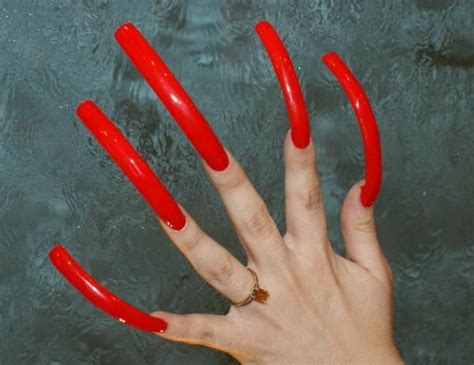 extremely long nails very long nails long fingernails long nails curved nails red manicure