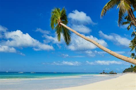 Perfect White Sand Beach On Boracay Philippines Stock Image Image Of