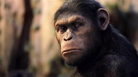 All 9 Planet Of The Apes Movies Ranked