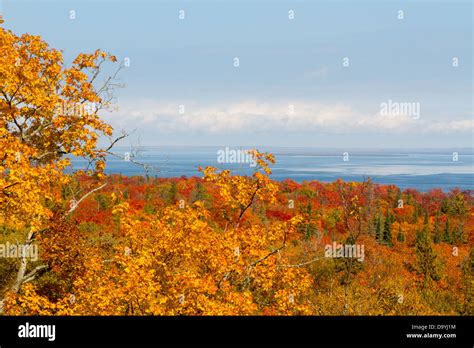 Autumn Colors On Mackinac Island Michigan With Lake Huron In The