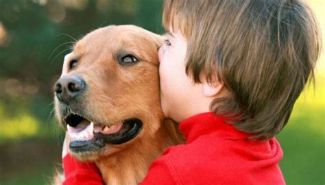 El Verdadero Desaf O El Amor De Los Perros Y Las Preguntas Virales