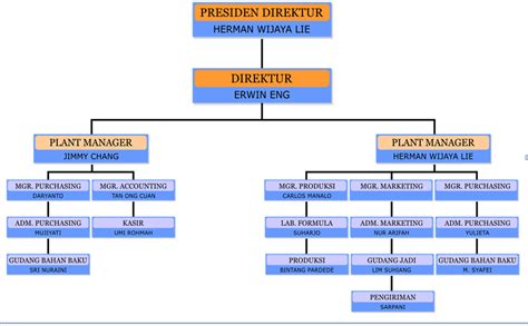 Struktur Organisasi Perusahaan Dagang Berbagi Informasi