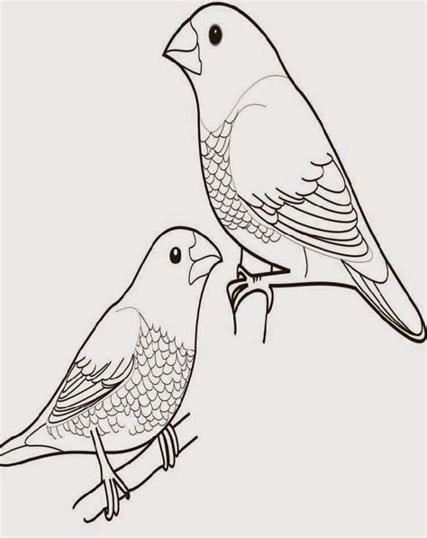 Contoh Gambar Cara Mewarnai Burung Kakak Tua Kataucap