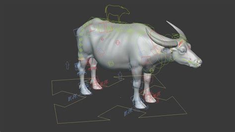 Asian Buffalo Water Buffalo Animated 3d Model Animated Rigged Cgtrader